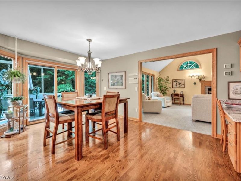 9198 Regency Woods Drive, Kirtland, OH 44094 Photo 11