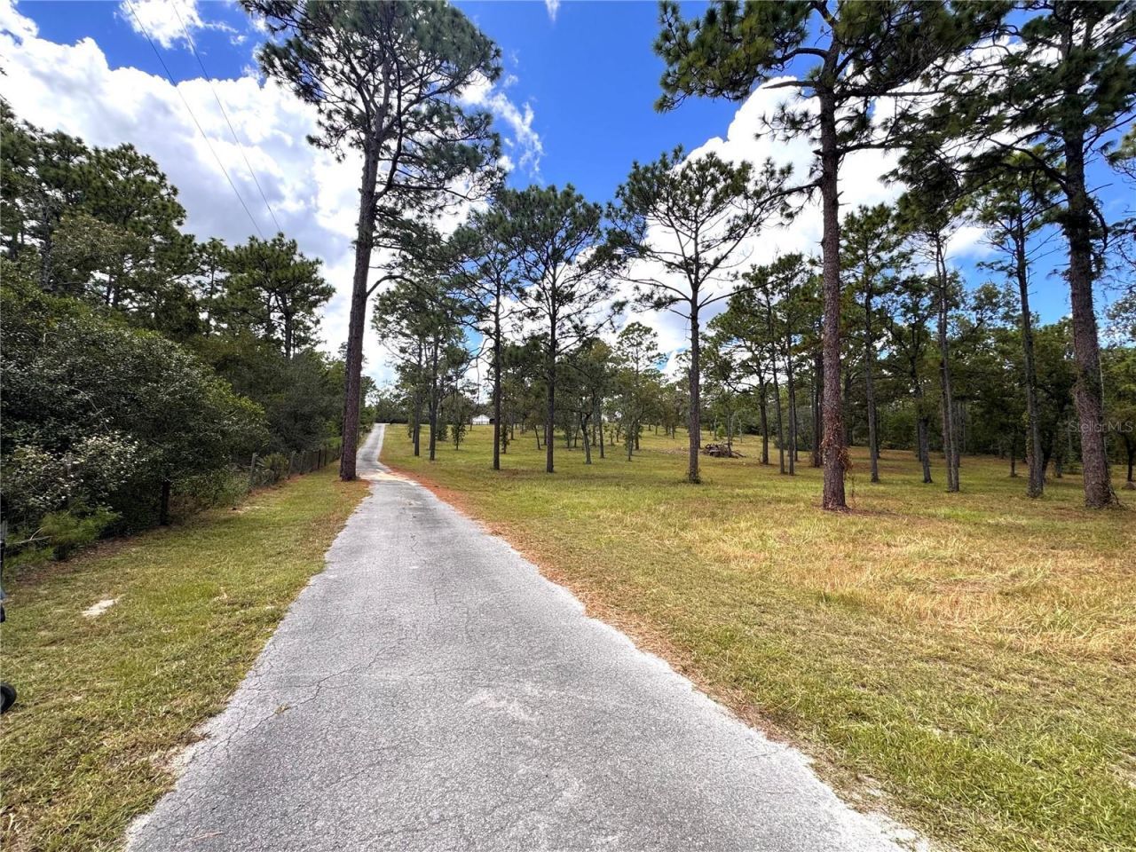 7590 N Caesar Point, Dunnellon, FL 34433 Photo