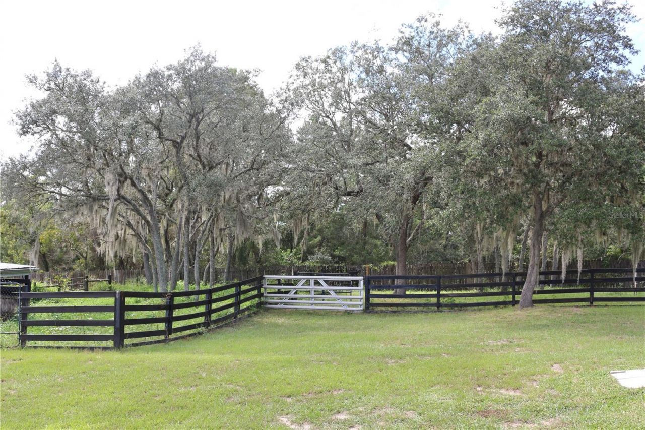7590 N Caesar Point, Dunnellon, FL 34433 Photo