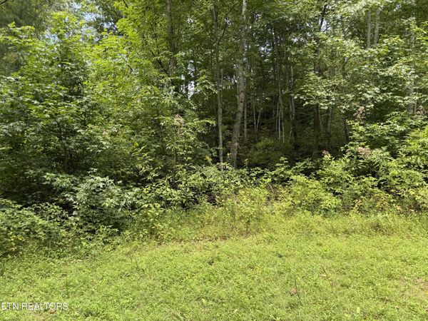 Coy Rhea Way, Sevierville, TN 37876