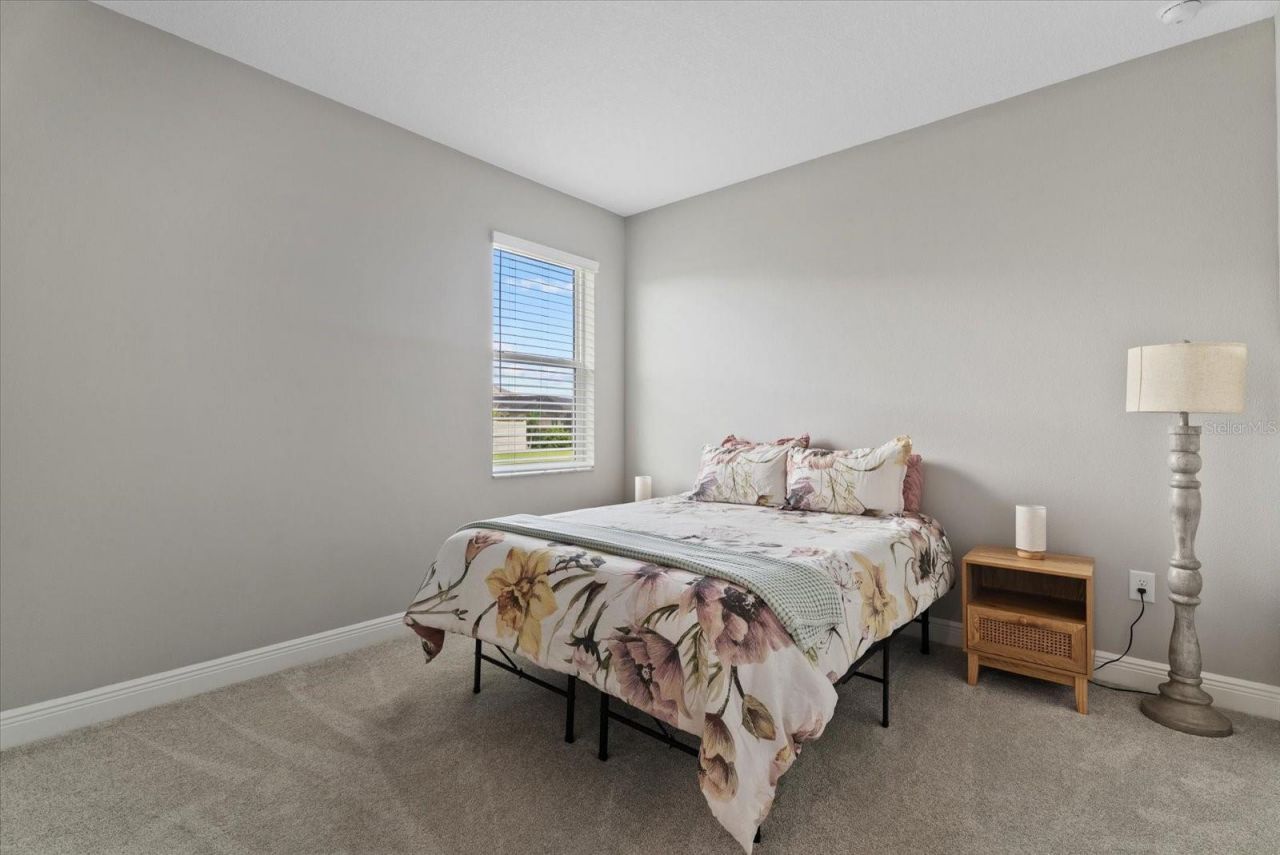 17668 Savory Mist Circle, Bradenton, FL 34211 Photo
