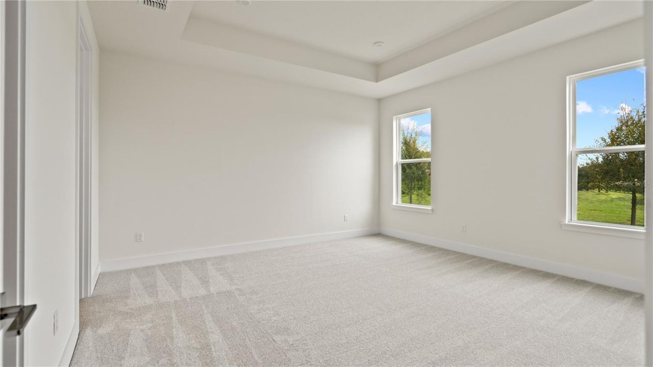 30273 Rustic Mill Street , Mount Dora, FL 32757 Photo