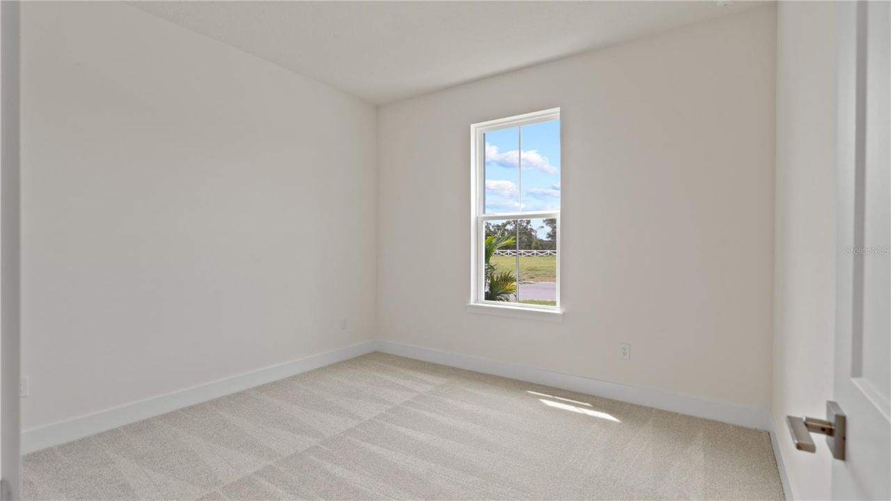 30273 Rustic Mill Street , Mount Dora, FL 32757 Photo