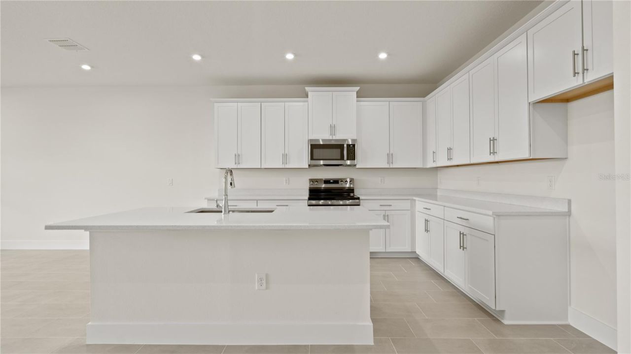 30273 Rustic Mill Street , Mount Dora, FL 32757 Photo
