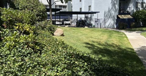 2700 Plumas Street, Unit 113, Reno, NV 89509 Photo
