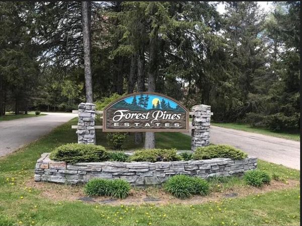 9101 Forest Pines Drive, Mecosta, MI 49332