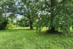 1354 Tennis Lane photo 4