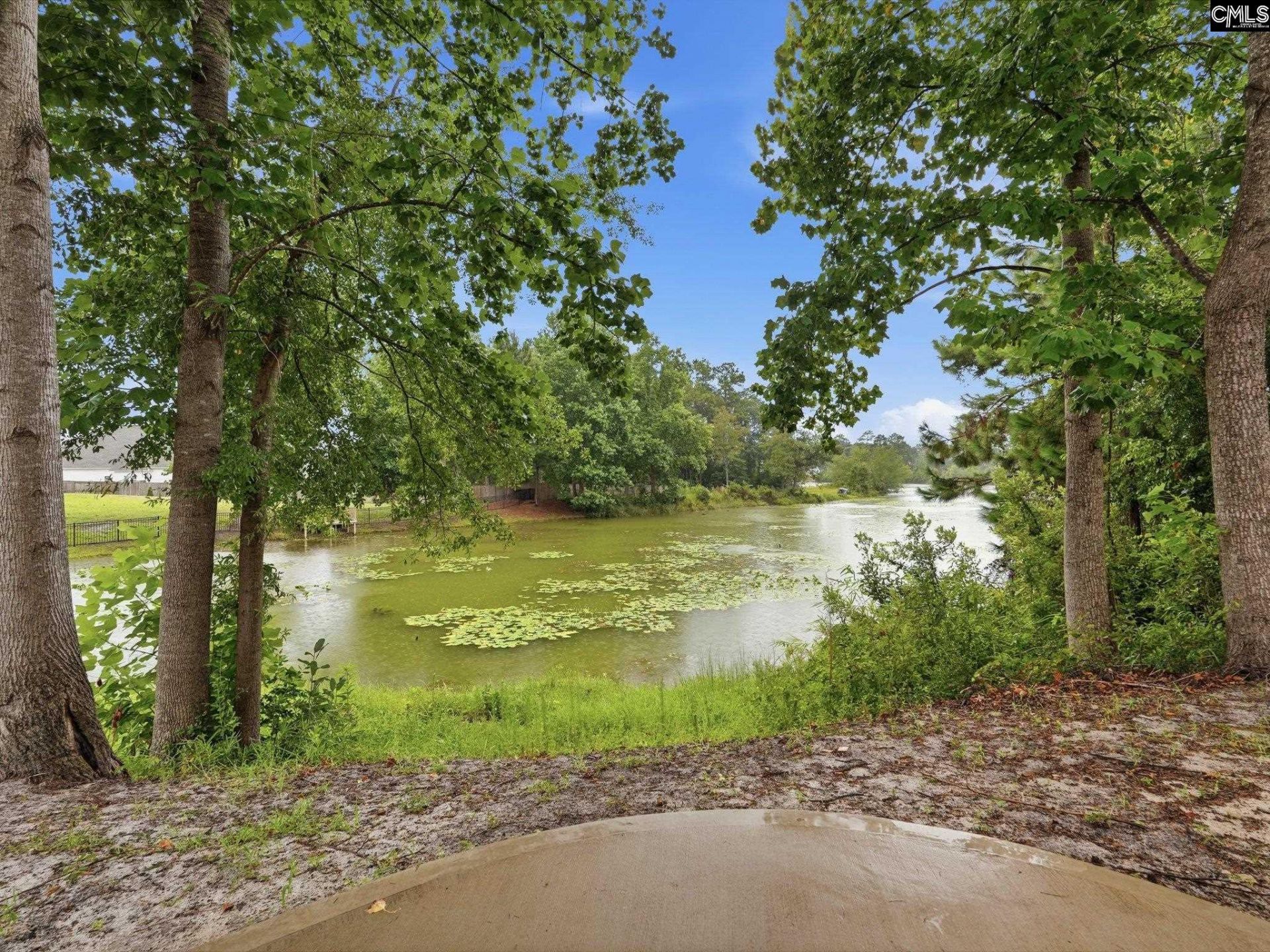 205 Shadowbrook Way Photo 46