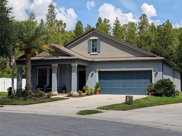 19255 ALEXANDREA LEE COURT , LAND O LAKES, FL 34638