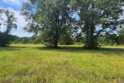 1298 Tennis Lane photo 4