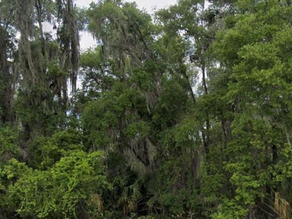 SEABISCUIT TRAIL , DELAND, FL 32720