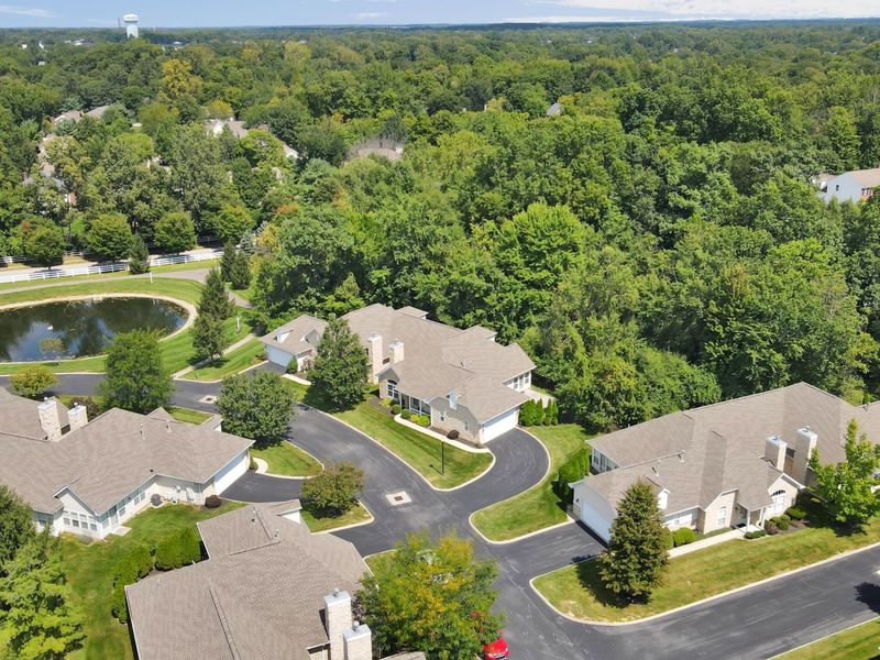 482 Commons Drive, Powell, OH 43065 Photo 13