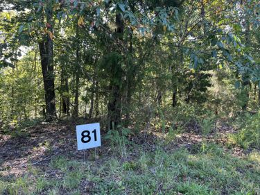 lot 81 Waterfowl Road, Murray, KY 42071