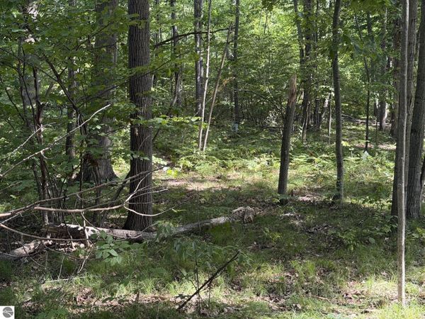 7785 Arrowhead Drive, Weidman, MI 48893