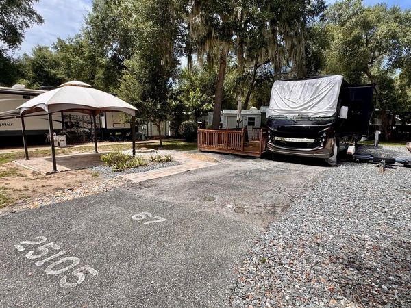 25105 NE 143RD STREET , SALT SPRINGS, FL 32134