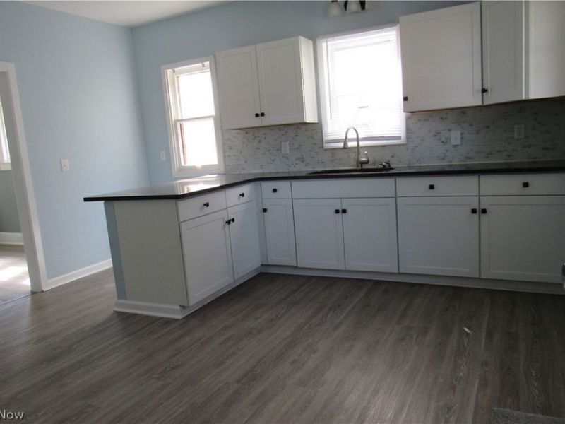 1817 E 46th Street, Ashtabula, OH 44004 Photo 6