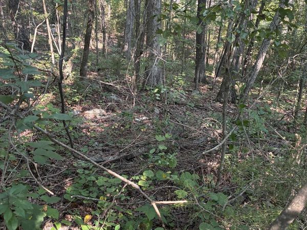 1 Crooked Hill Private Drive, Falkville, AL 35622