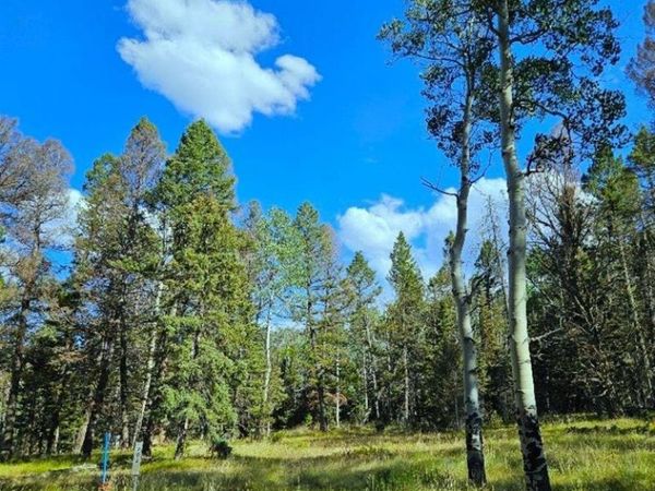 282 Aspen Trail, Cimarron, CO 81220