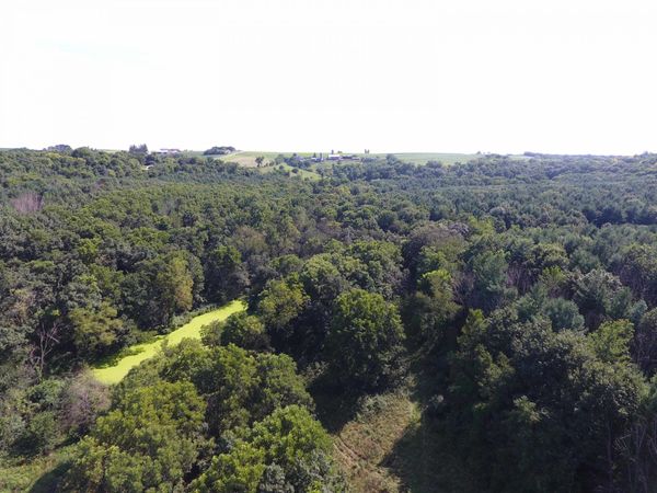 140 Acres Ideal Road, Fennimore, WI 53809