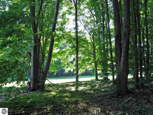 Mountain Woods Court, Thompsonville, MI 49683