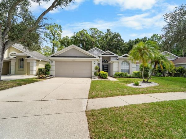 9720 FREDERICKSBURG ROAD , TAMPA, FL 33635