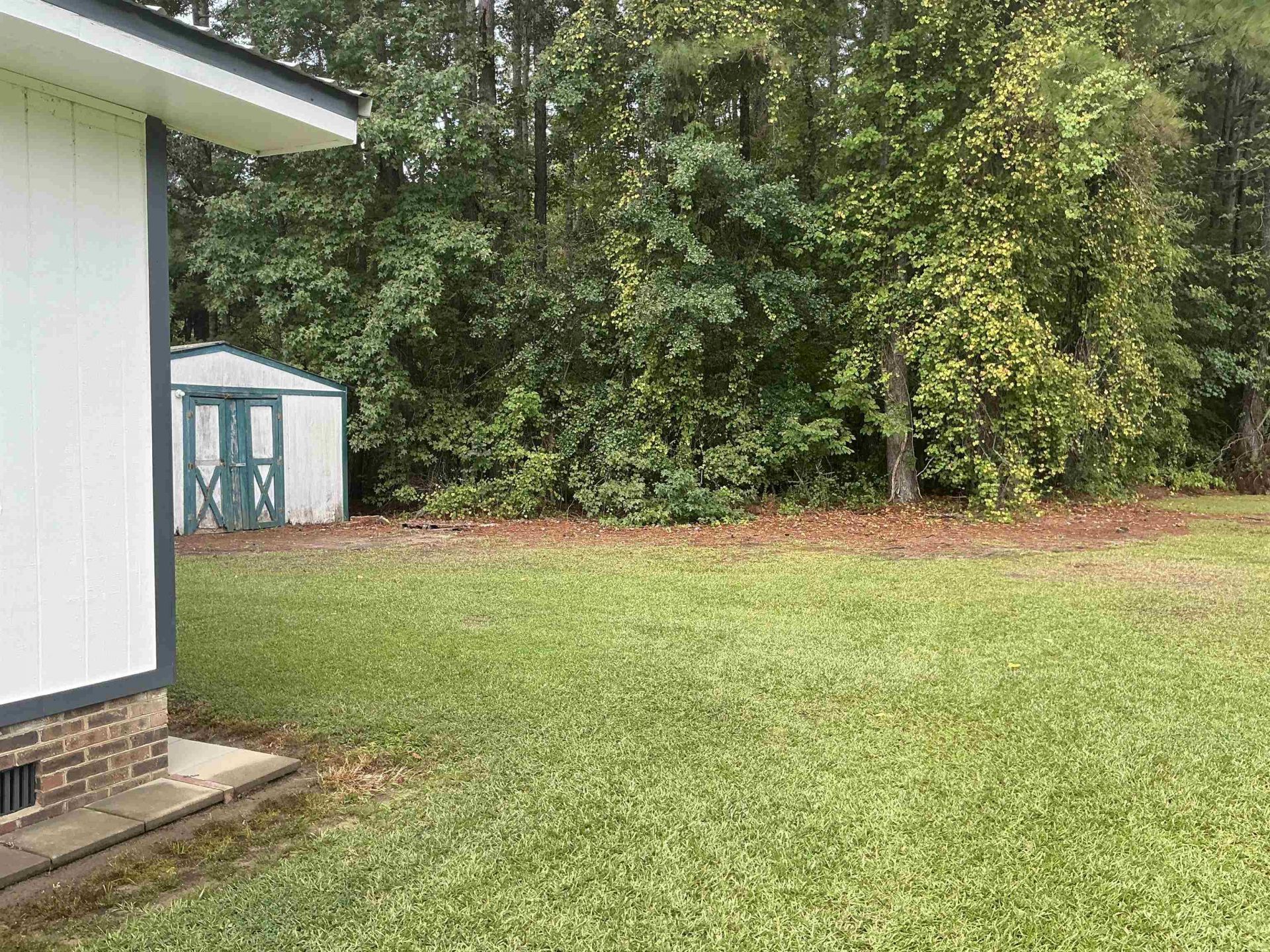 5109 Hemingway Hwy.  Photo 7