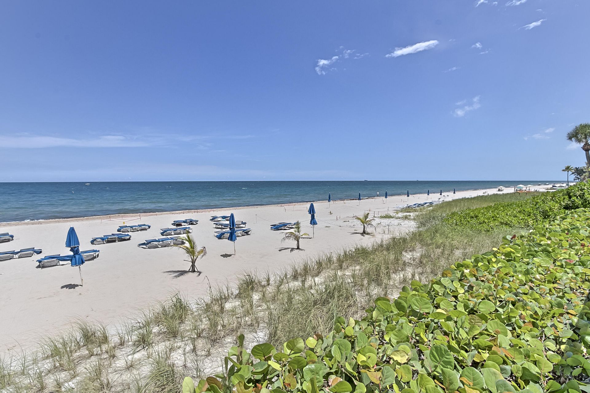 3700 Galt Ocean Drive, Unit 1206, Fort Lauderdale, FL 33308 Photo