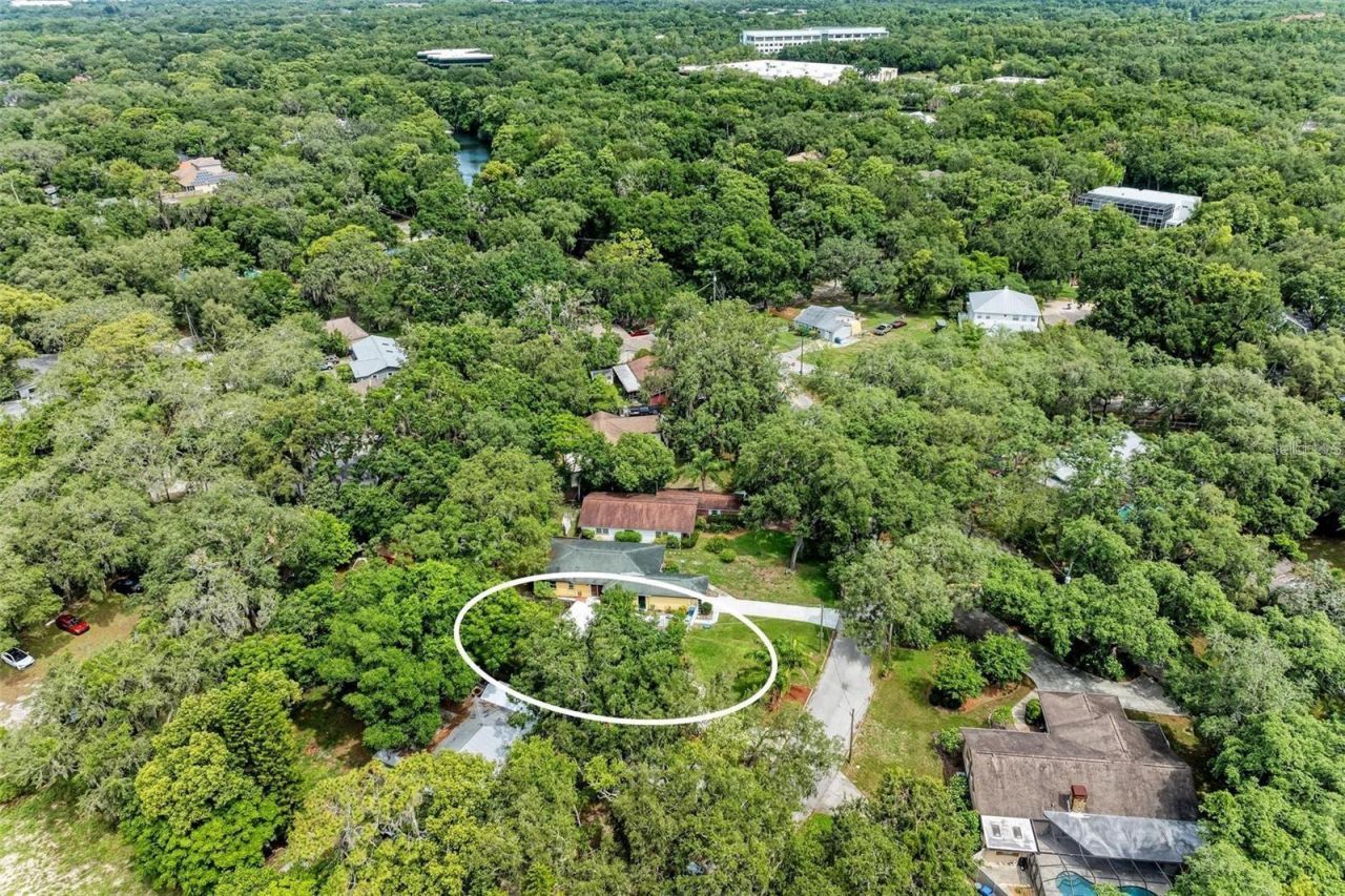 11710 North Drive , Tampa, FL 33617 Photo