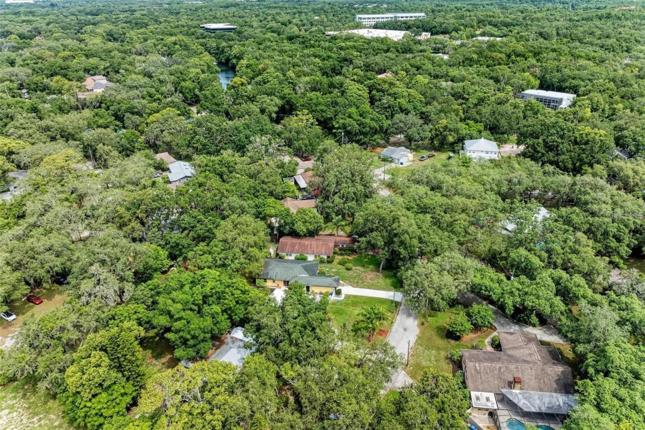 11710 North Drive , Tampa, FL 33617 Photo