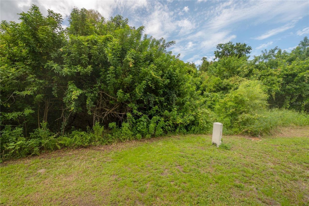 9619 Lakedale Way , Unit 102, Riverview, FL 33578 Photo