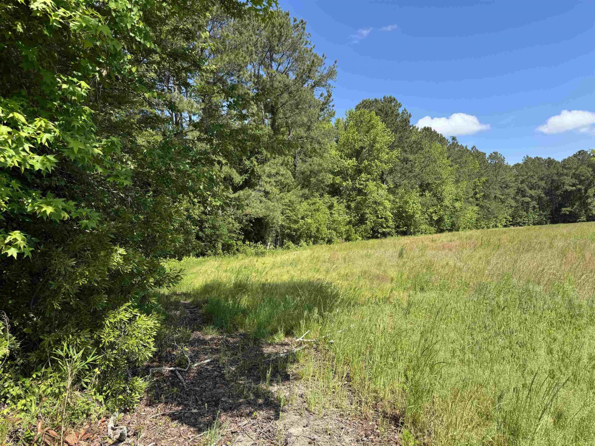 4633 Grainger Circle  Photo 17