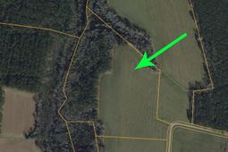 4633 Grainger Circle  photo 4