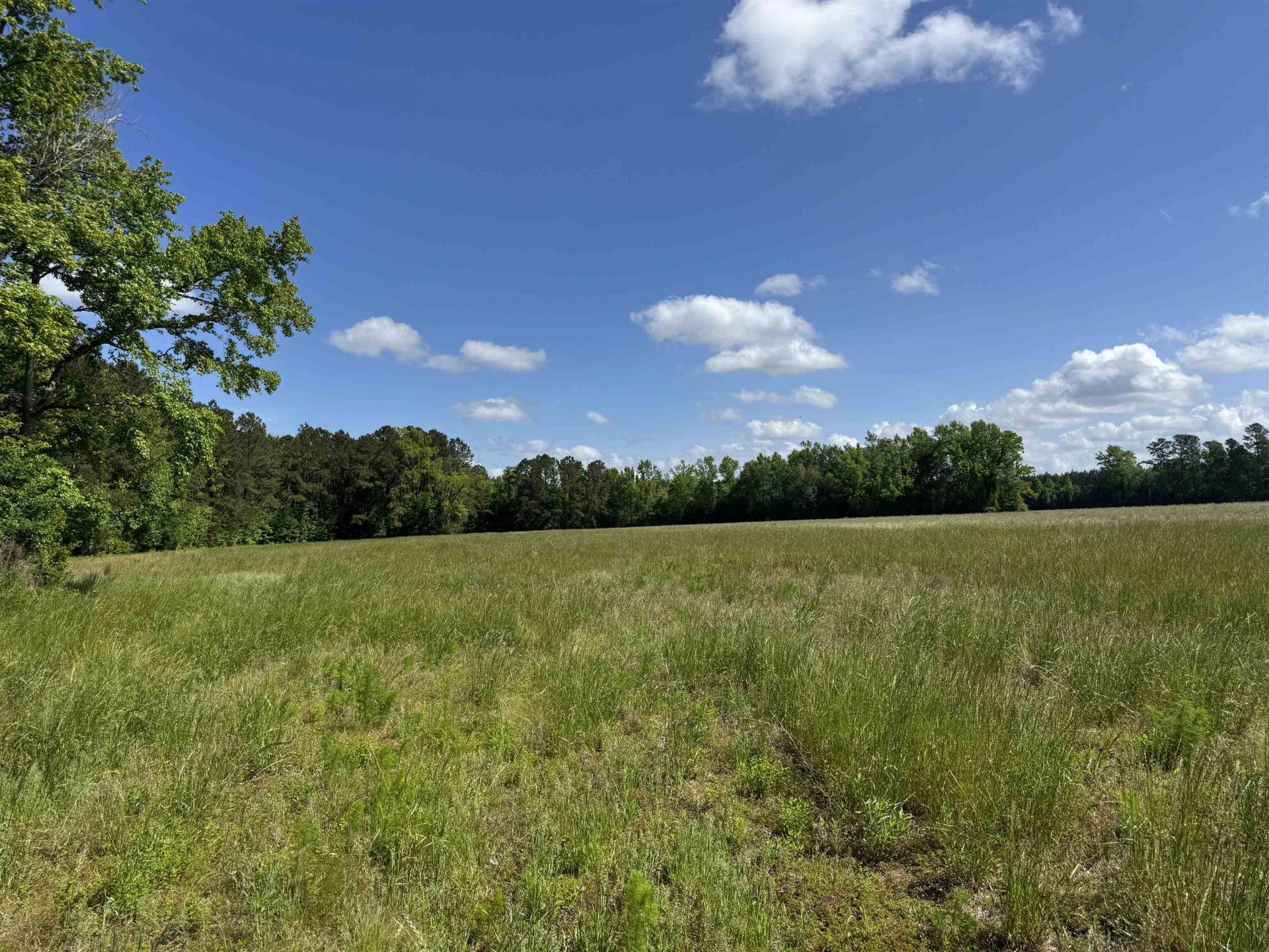 4633 Grainger Circle  Photo 8