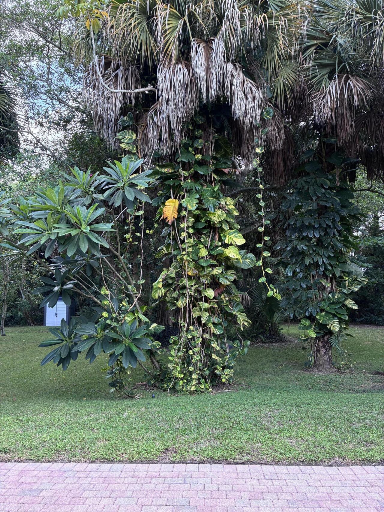 6937 Monmouth Road, West Palm Beach, FL 33413 Photo