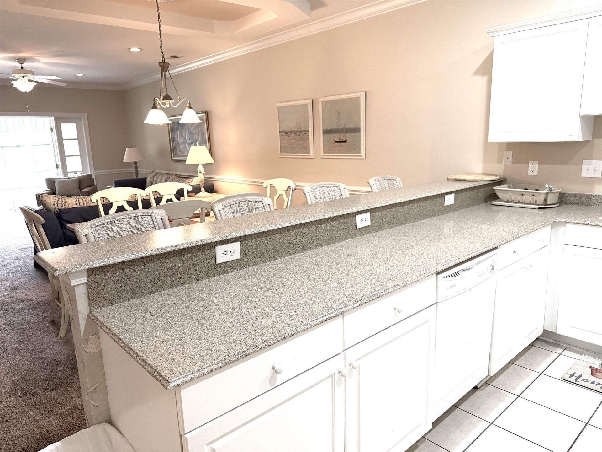 1101 Louise Costin Ln. Photo 16