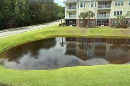 1101 Louise Costin Ln. photo 4