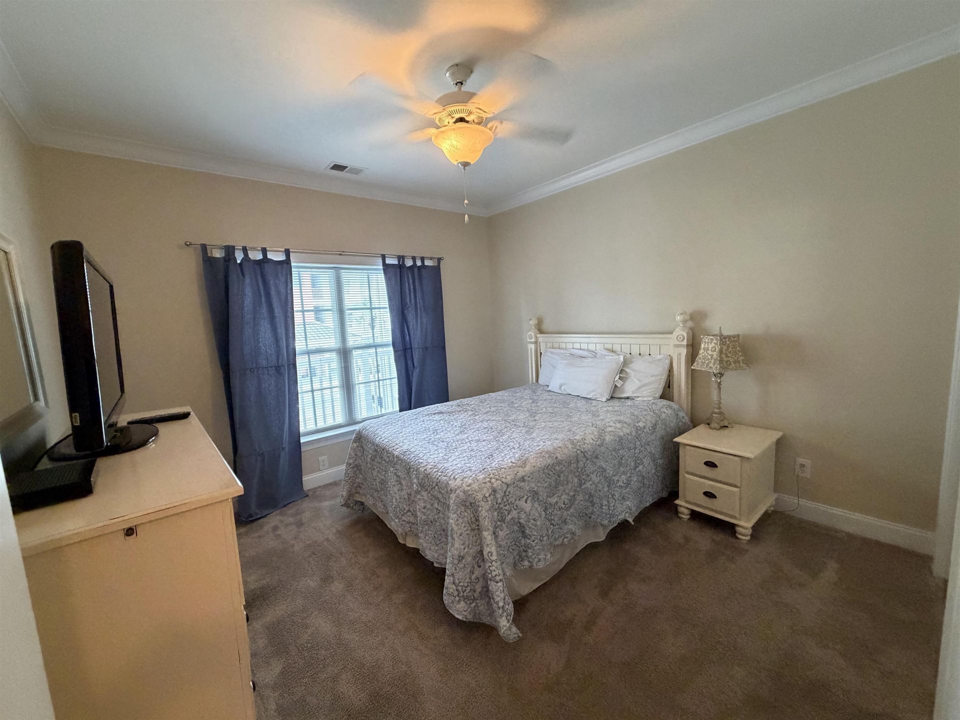 1101 Louise Costin Ln. Photo 29