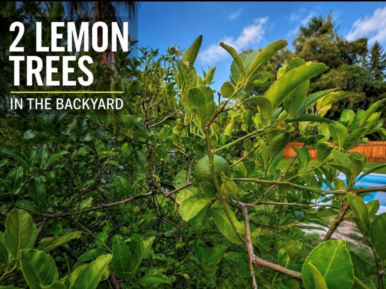 3101 Flowertree Road , Belle Isle, FL 32812 Photo