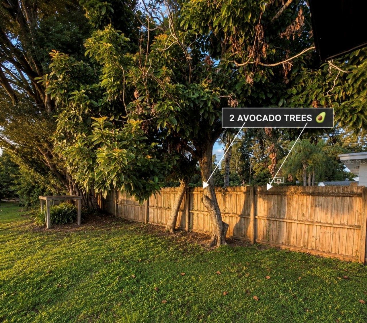 3101 Flowertree Road , Belle Isle, FL 32812 Photo