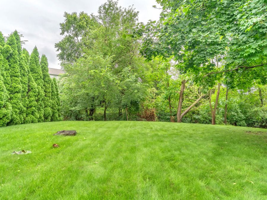 Property Image 51