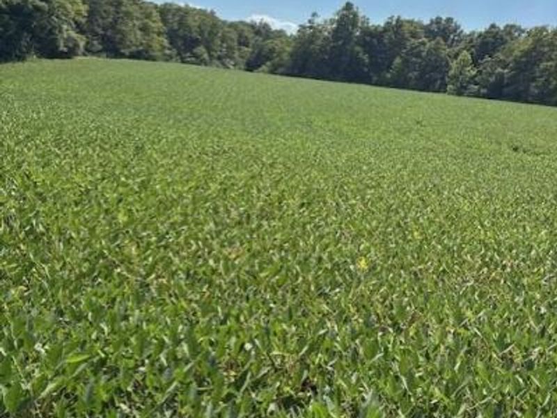 0 Calvary Road, Seaman, OH 45679 Photo 3