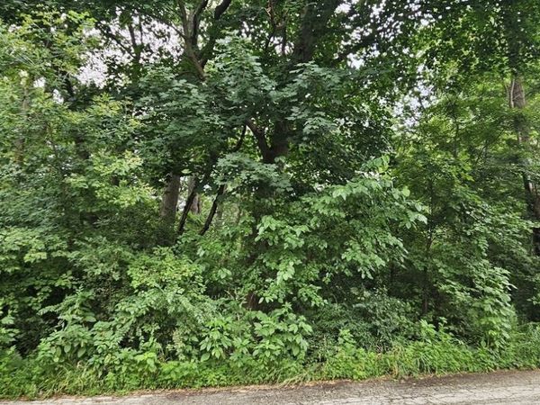 35 Ridgeland Avenue , Fox Lake, IL 60020