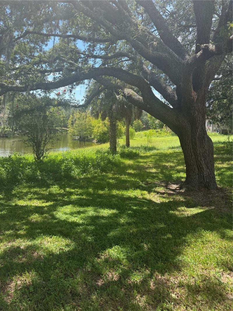 Park Ridge Gotha Road , Windermere, FL 34786 Photo