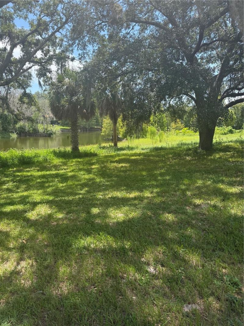 Park Ridge Gotha Road , Windermere, FL 34786 Photo