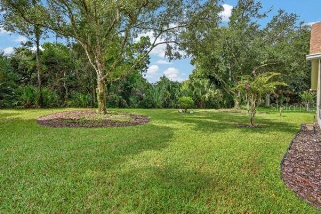 54 Shinnecock Drive , Palm Coast, FL 32137 Photo