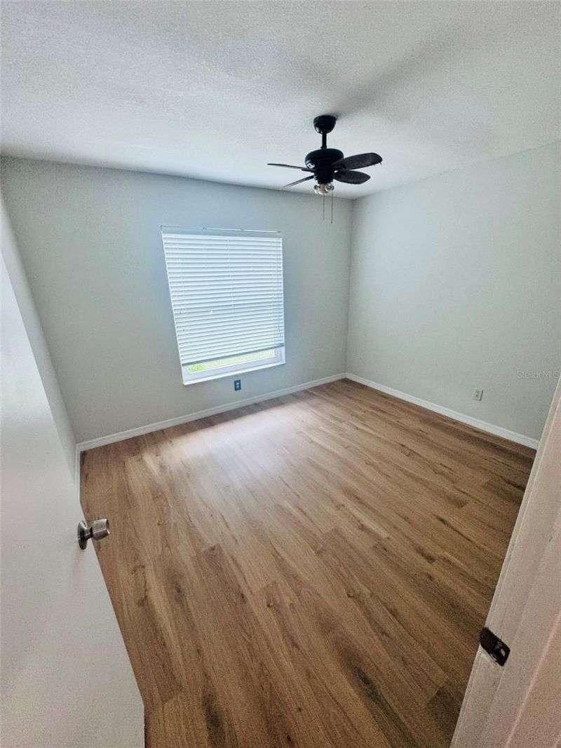 5151 Gainsville Drive, Temple Terrace, FL 33617 Photo