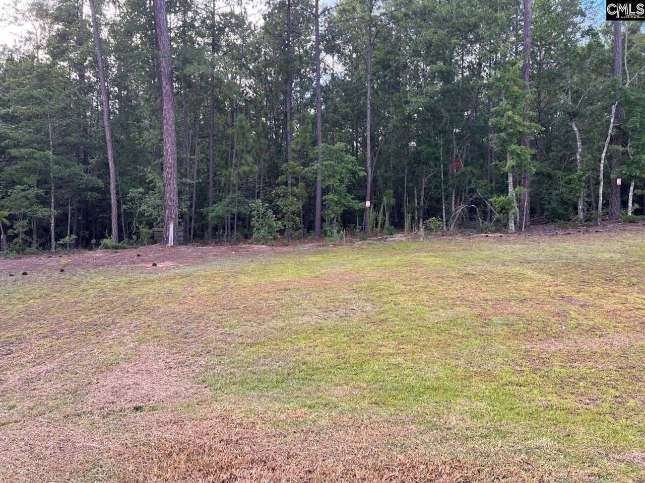 613 Marbled Teal Lane Photo 40