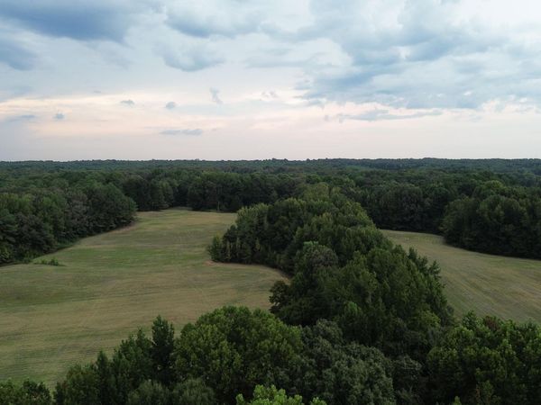 00 W HWY 100 , Whiteville, TN 38075