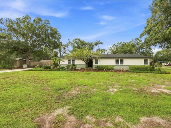 3540 PEACOCK LANE , MULBERRY, FL 33860