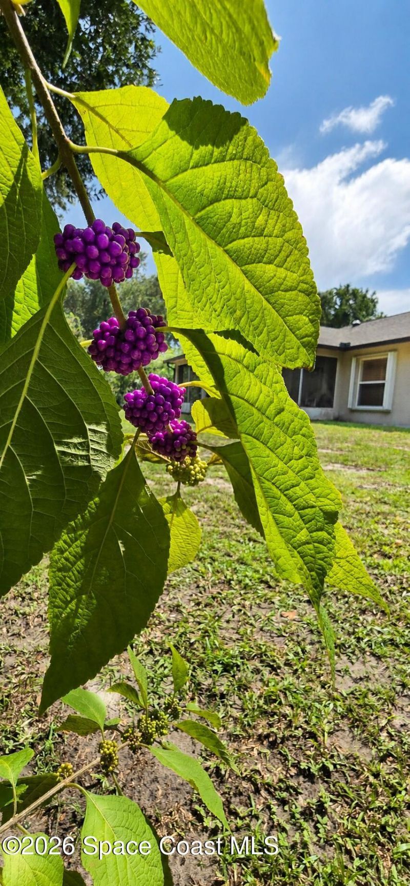 3835 Alan Shepard Avenue, Cocoa, FL 32926 Photo
